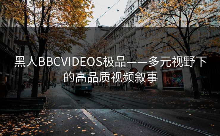 黑人BBCVIDEOS极品——多元视野下的高品质视频叙事