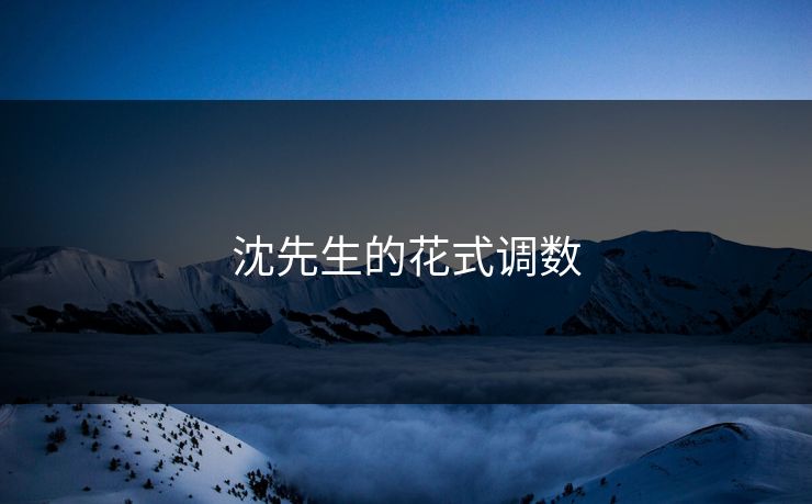 沈先生的花式调数